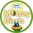 money birds регистрация