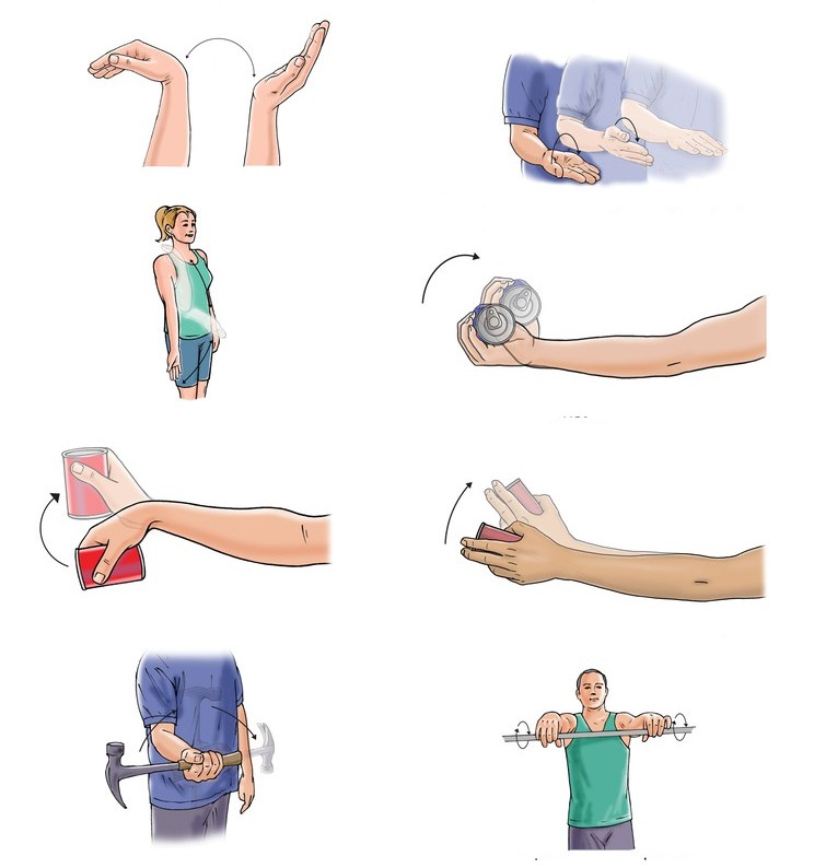 2. Как разрабатывать руку после перелома локтевого сустава - изображение №1