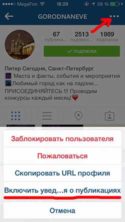 instagram_uvedomlenia