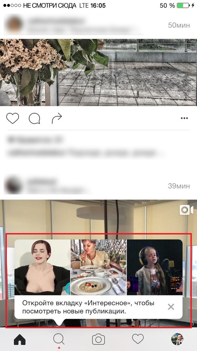 В разделе «Интересное» (это тот, что с лупой на иконке) появятся новые подложки