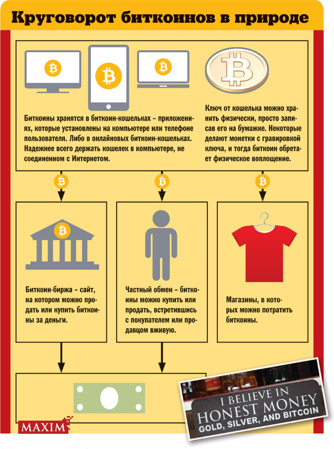 Сокровища ботанов: все, что важно знать о биткоинах Сокровища ботанов: все, что важно знать о биткоинах