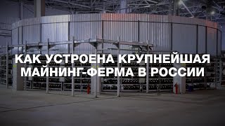 Как устроена крупнейшая майнинг-ферма в России