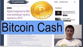 Bitcoin Cash - зачем он нужен, где купить BCC и как хранить криптовалюту