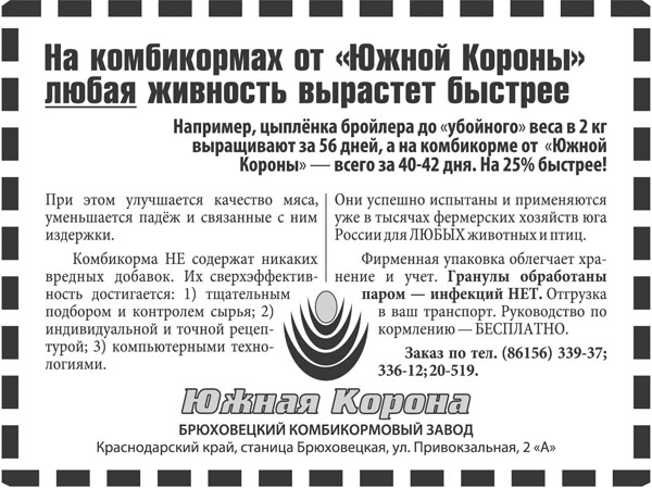 Печатная реклама, Денис Богомолов, БКЗ