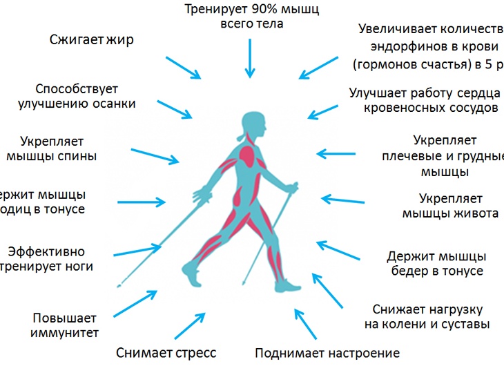 Скандинавская ходьба: плюсы и минусы