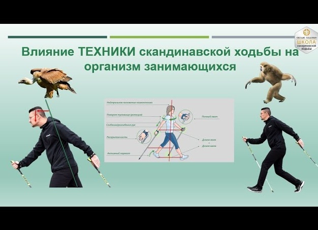 Влияние скандинавской ходьбы на здоровье