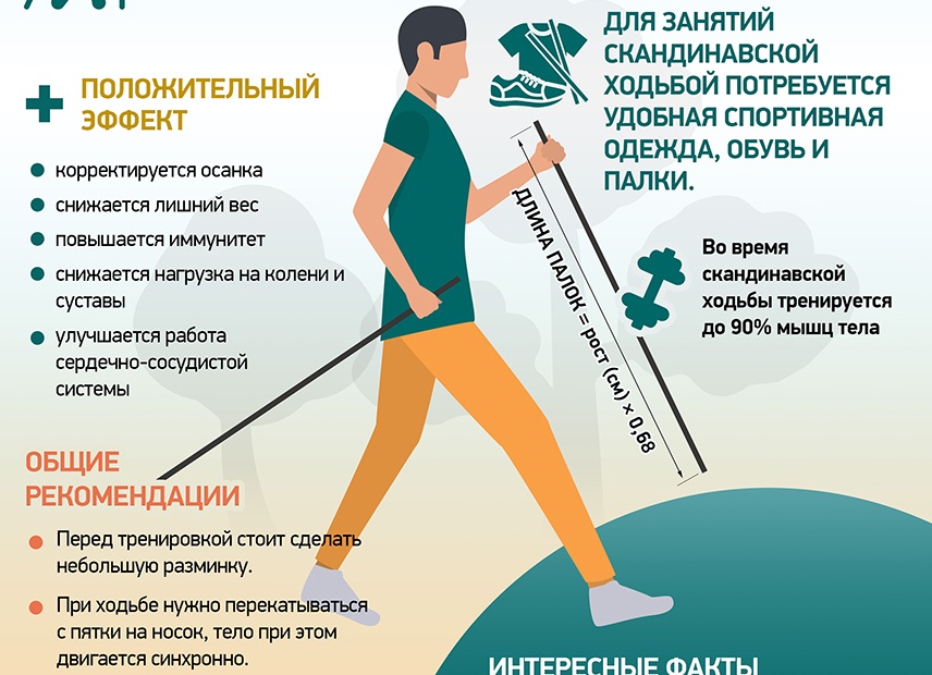 Шаги здоровья: почему скандинавская ходьба полезнее обычной