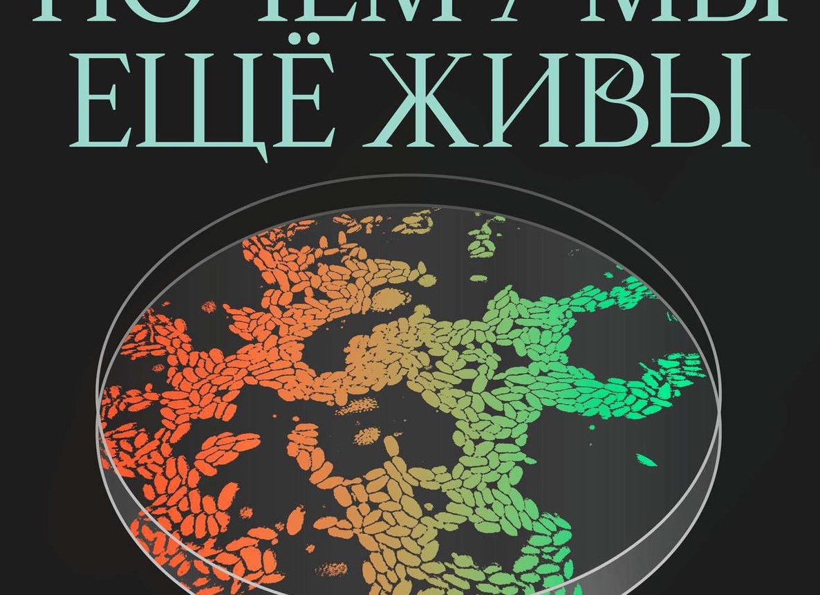 Палки, мифы, молодежь: кому полезна и что дает скандинавская ходьба на самом деле