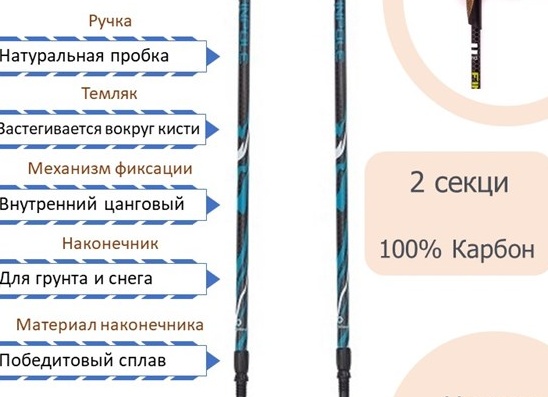 Какие выбрать палки для скандинавской ходьбы: обзор, виды, таблица