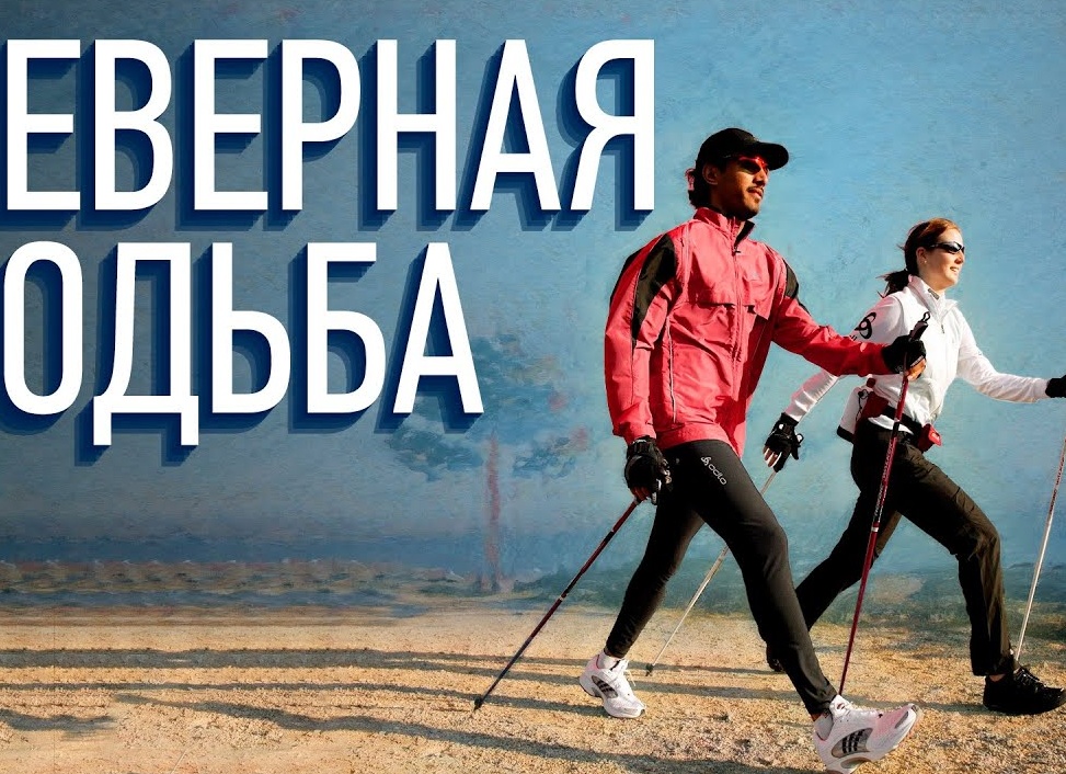 ЧТО ТАКОЕ ТЕХНИКА В СЕВЕРНОЙ ХОДЬБЕ?