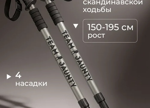 Лучшие палки для скандинавской ходьбы